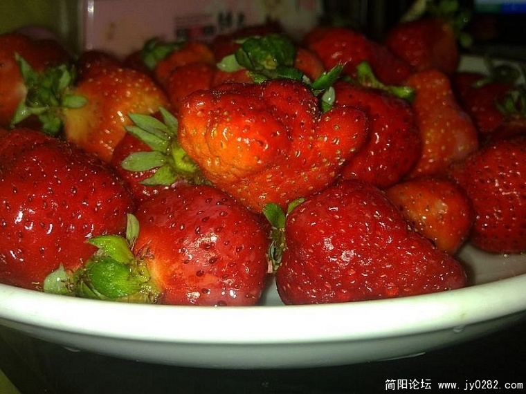 20110302285.jpg