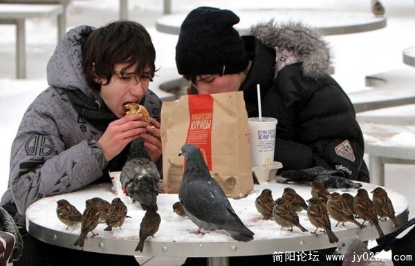 20112122331431520450.jpg