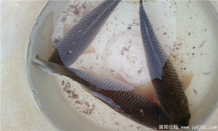 IMAG0124_副本.jpg