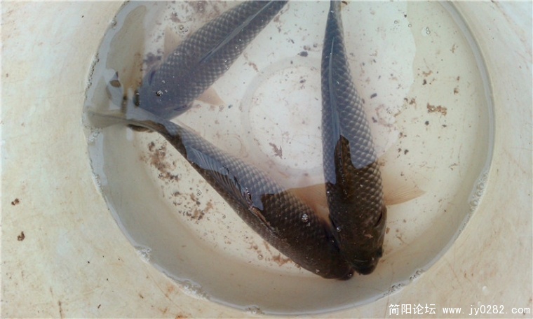 IMAG0123_副本.jpg
