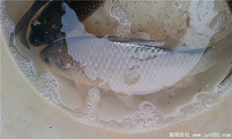 IMAG0126_副本.jpg