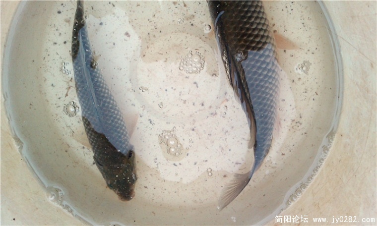IMAG0120_副本.jpg