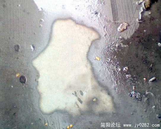 偶尔拍的.jpg