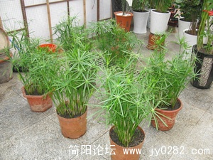 3c2f8539456bc51e96ddd8cf.jpg