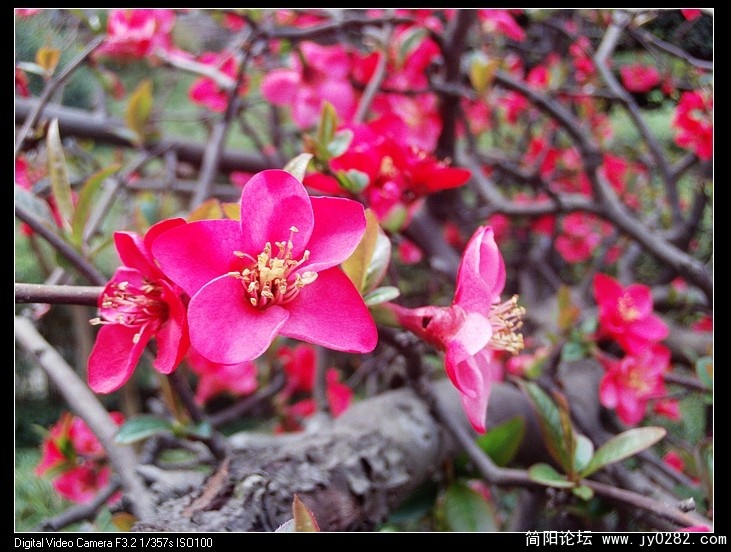 nEO_IMG_PHOT0003.jpg