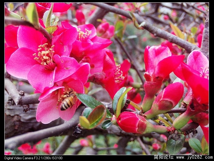 nEO_IMG_PHOT0004.jpg