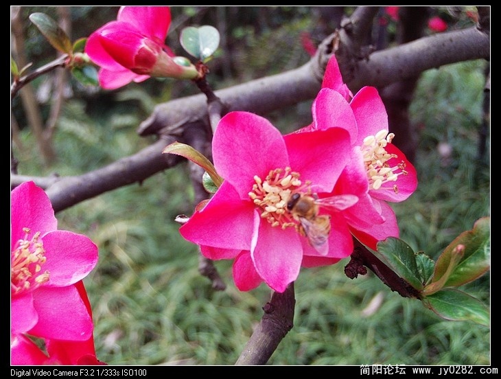 nEO_IMG_PHOT0011.jpg