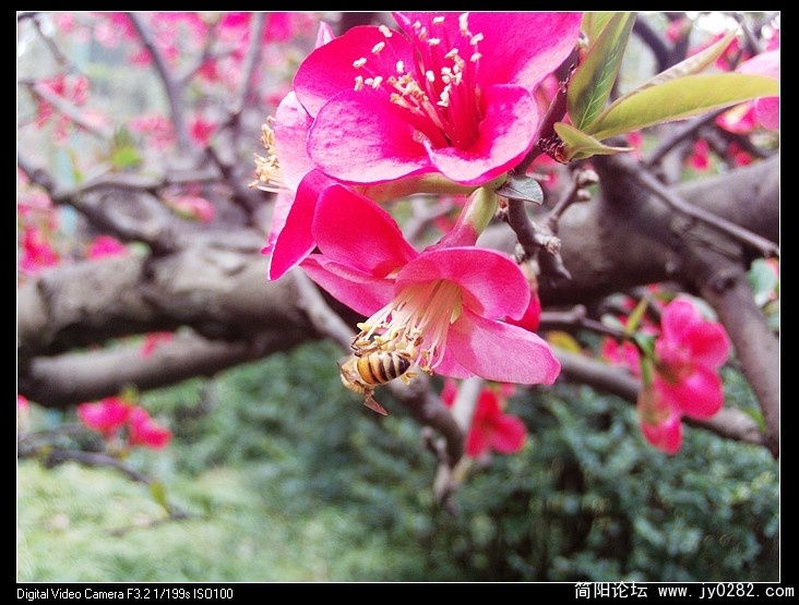 nEO_IMG_PHOT0010.jpg