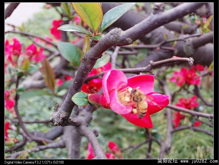 nEO_IMG_PHOT0007.jpg