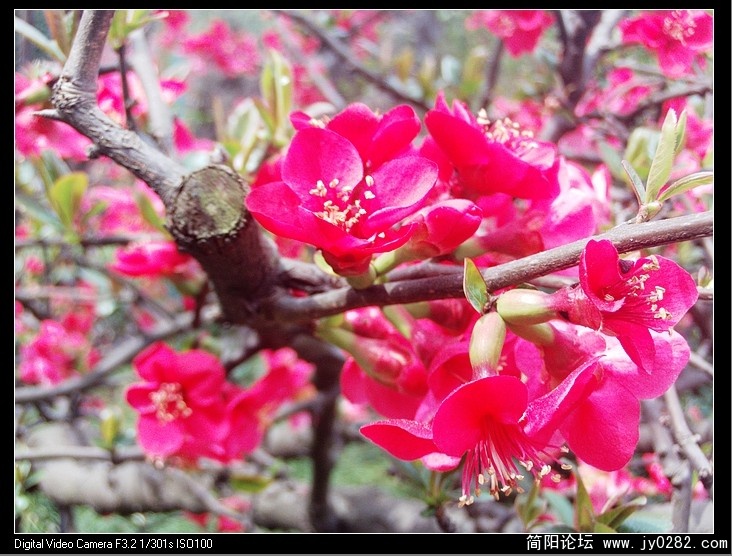nEO_IMG_PHOT0012.jpg