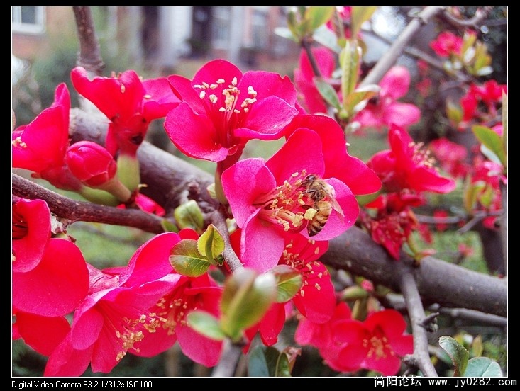 nEO_IMG_PHOT0023.jpg