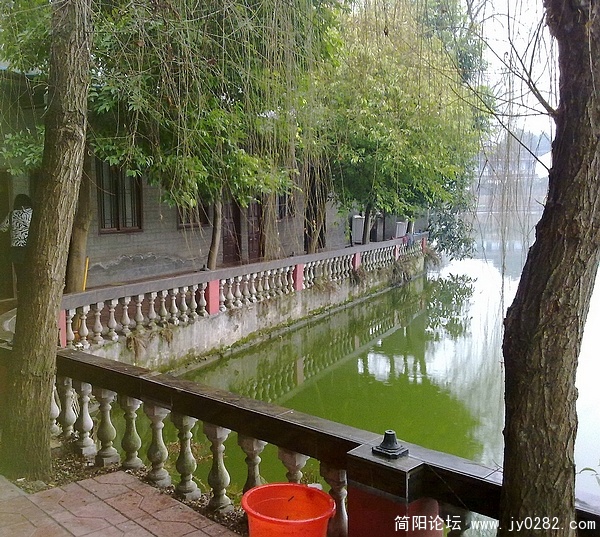 20110218187.jpg