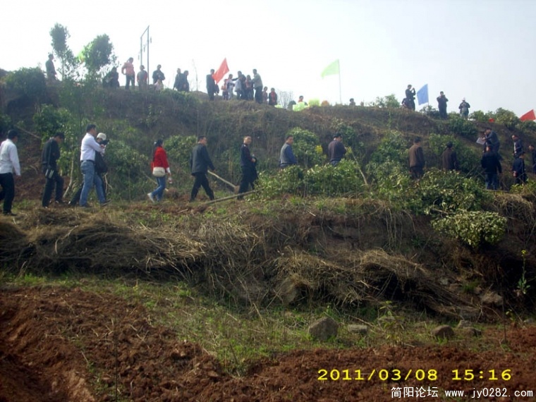 DSCI4708.jpg