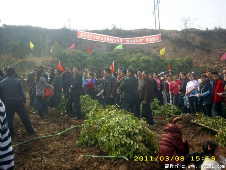 DSCI4714.jpg