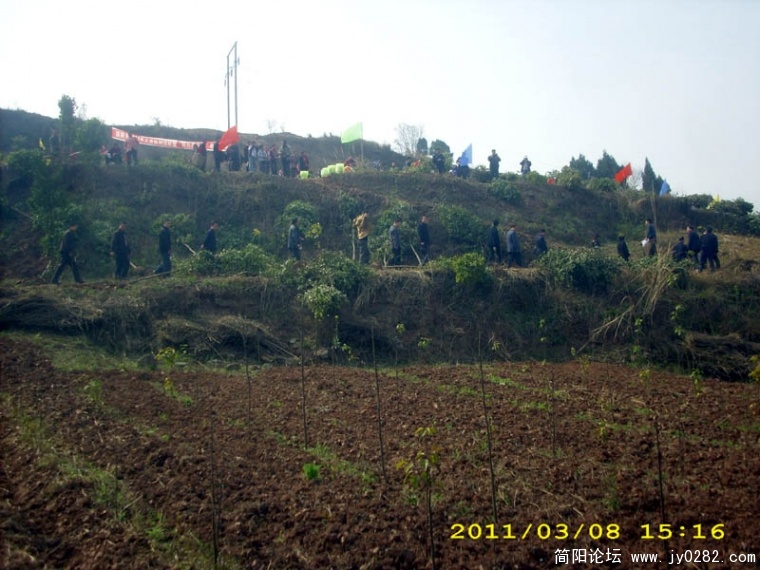 DSCI4707.jpg