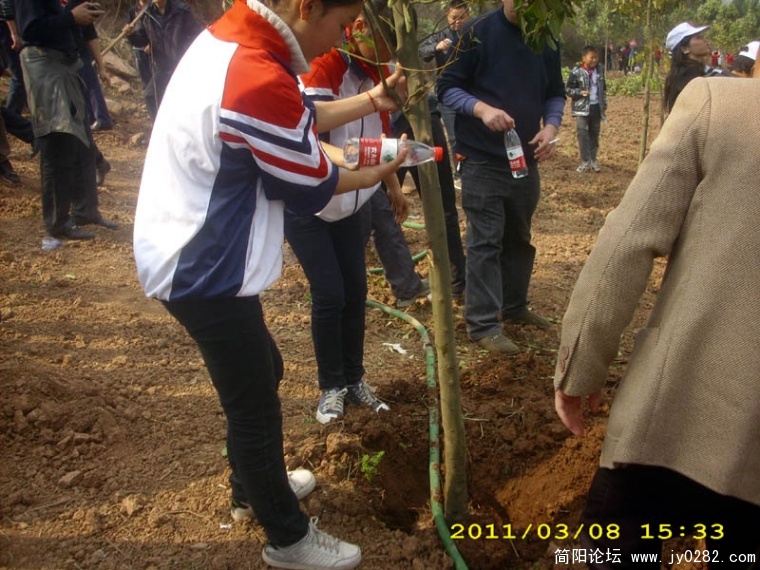 DSCI4718.jpg
