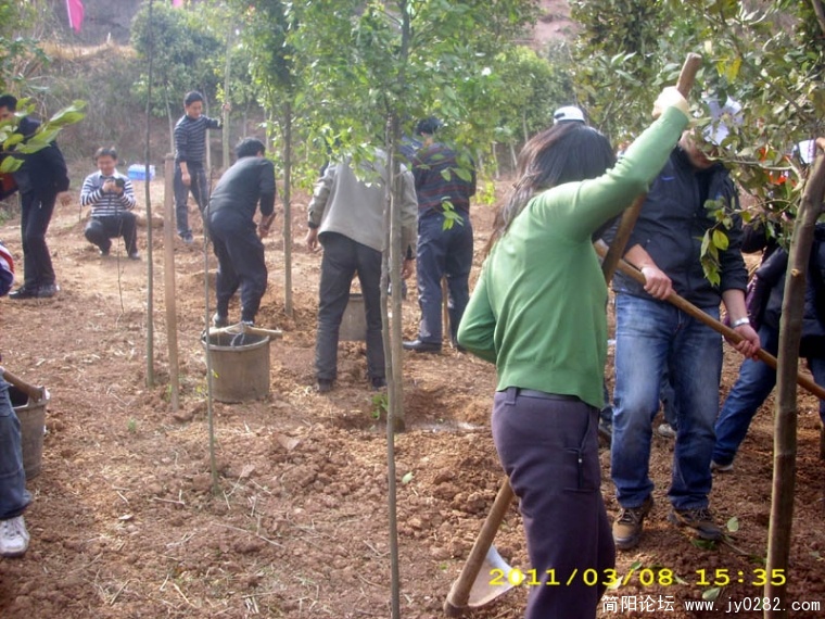 DSCI4727.jpg