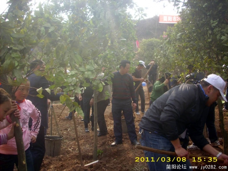 DSCI4724.jpg