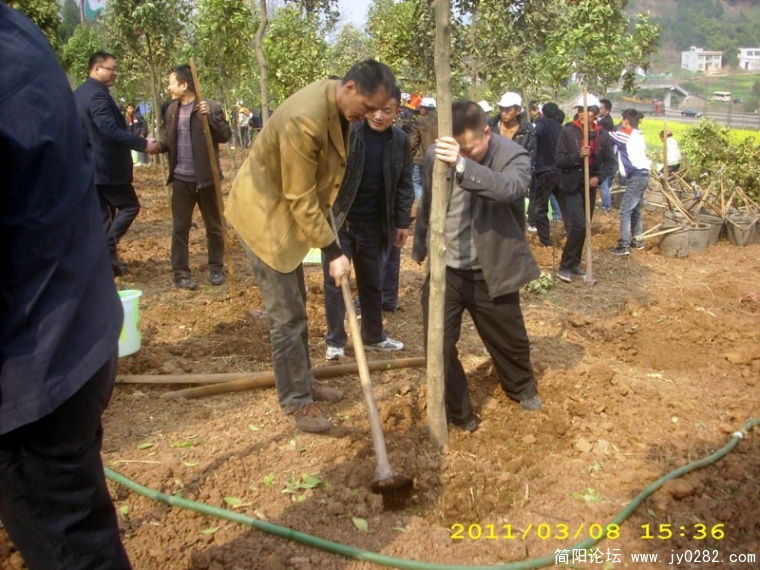 DSCI4729.jpg