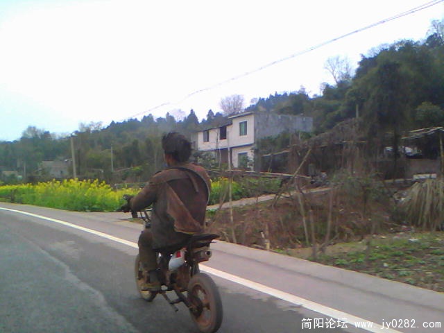 20110309E001.jpg