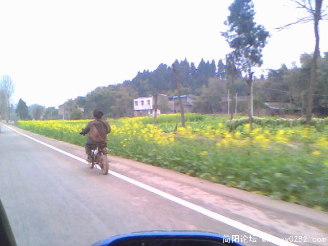 20110309F002.jpg