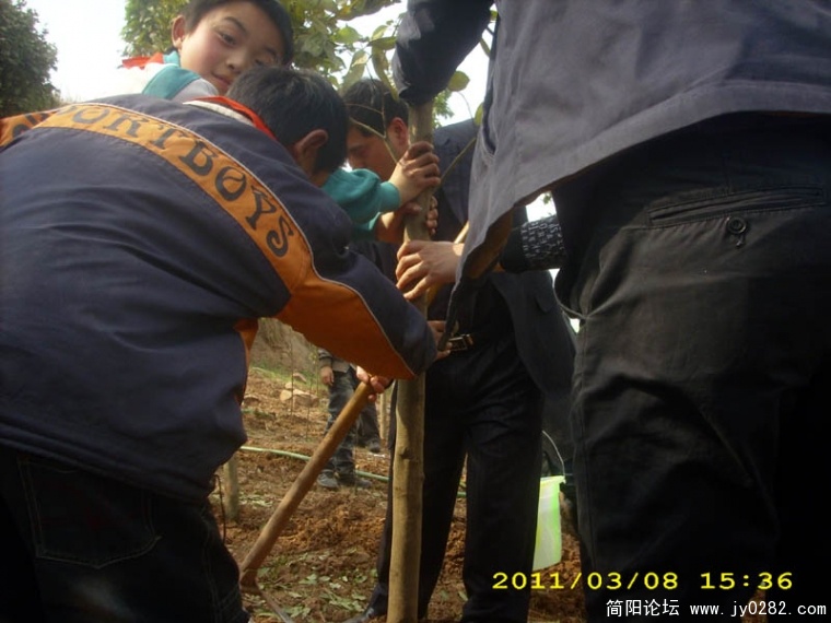 DSCI4732.jpg