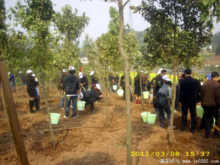 DSCI4735.jpg