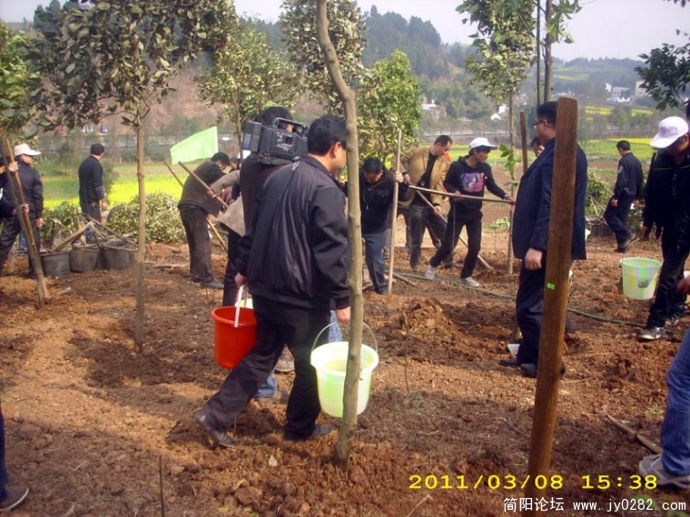 DSCI4738.jpg