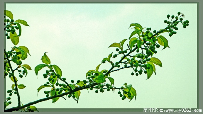 P1000662  拷贝.jpg