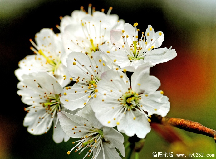 _DSC00513001 1 拷贝.jpg