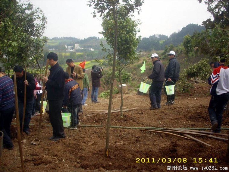 DSCI4746.jpg