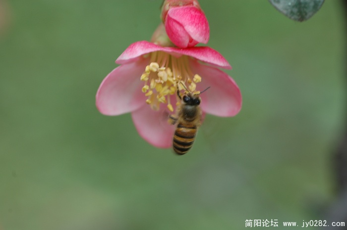 DSC_0897.JPG