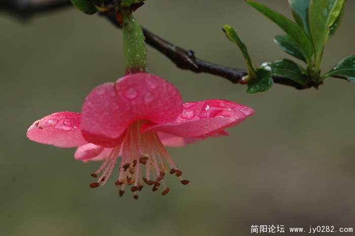 DSC_0934.JPG