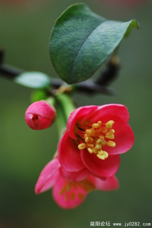 DSC_0868.JPG