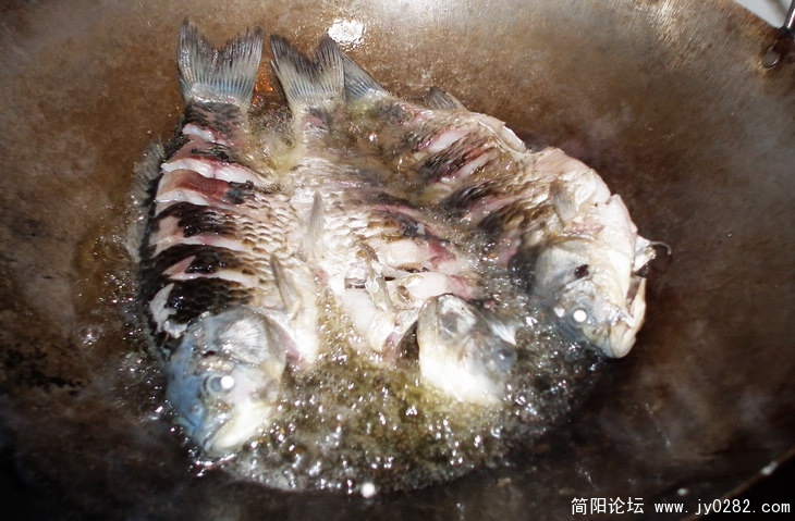 QRJ 037.jpg