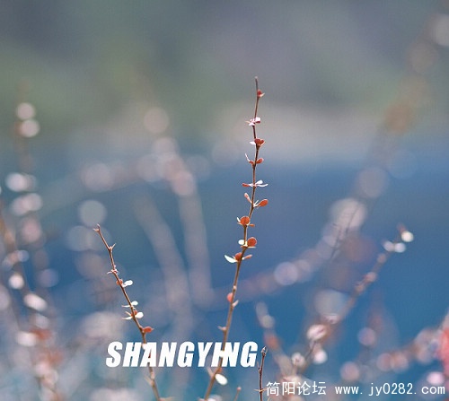 ZV8Y0128.jpg