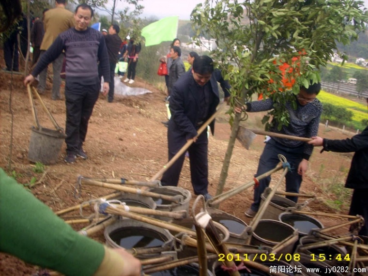 DSCI4759.jpg