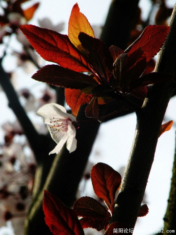 DSCN4308.jpg