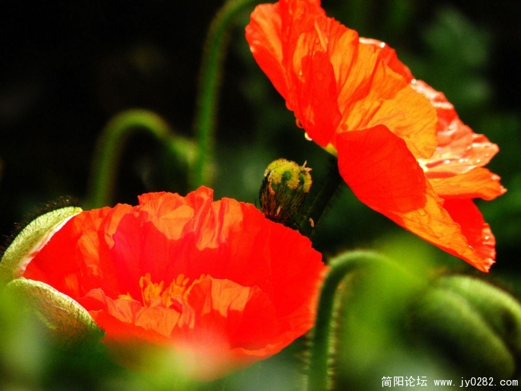 DSCN4360.jpg