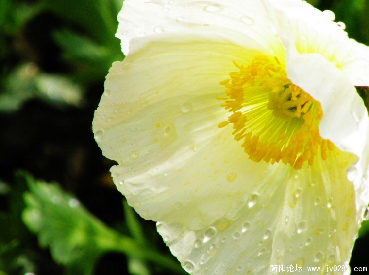 DSCN4349.jpg