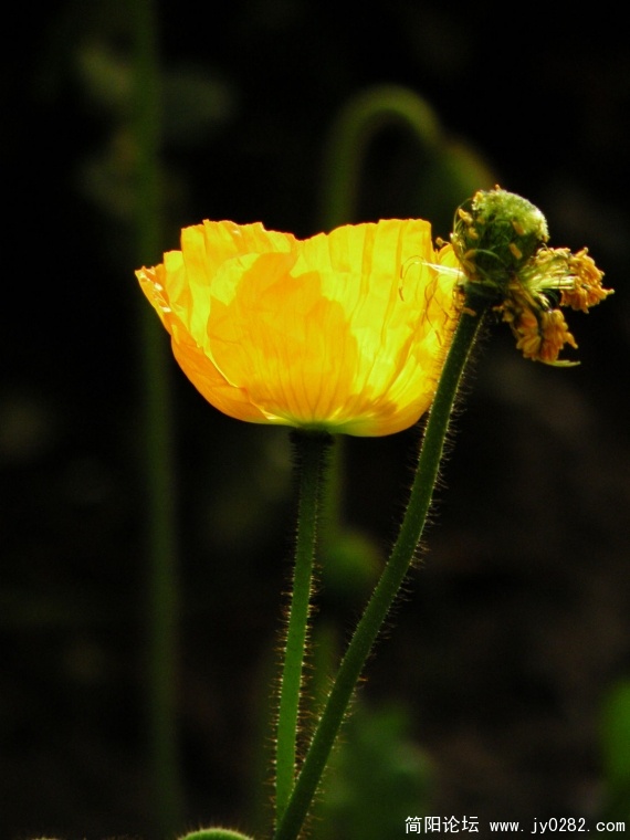 DSCN4356.jpg