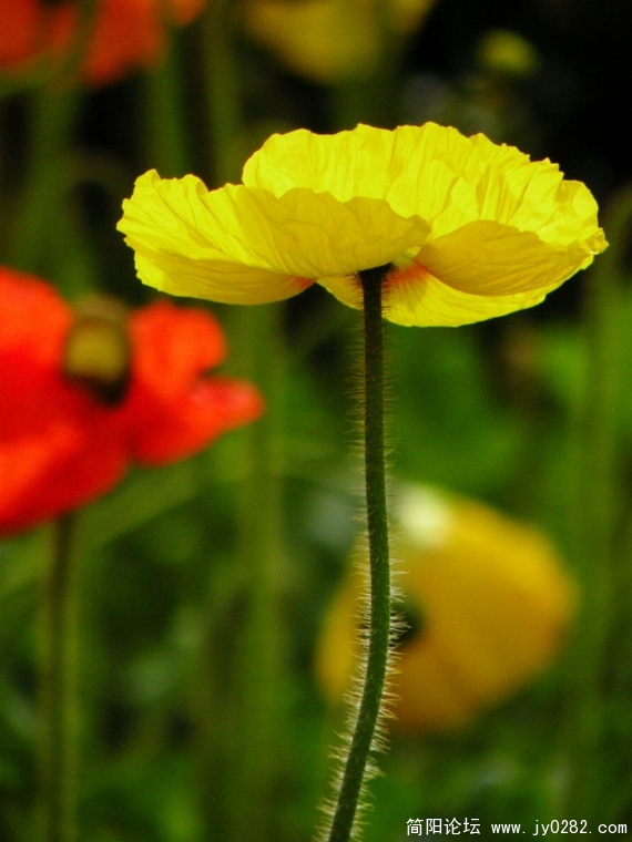 DSCN4340.jpg