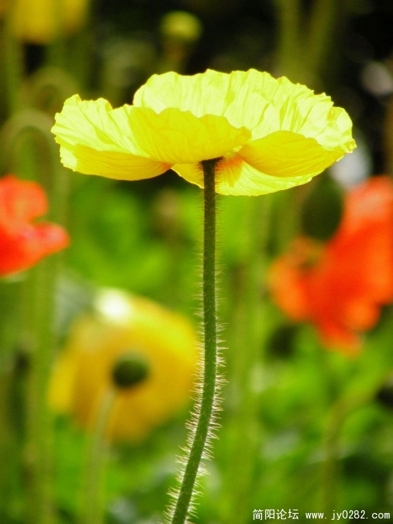 DSCN4345.jpg
