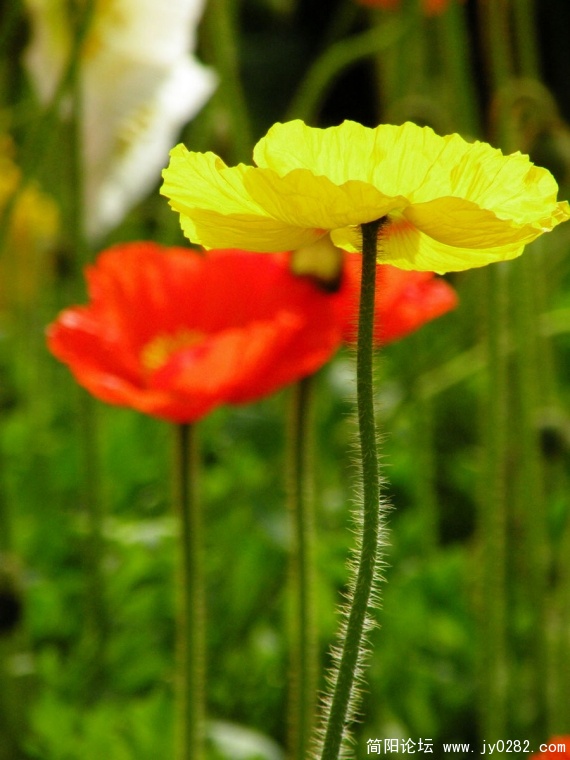 DSCN4372.jpg