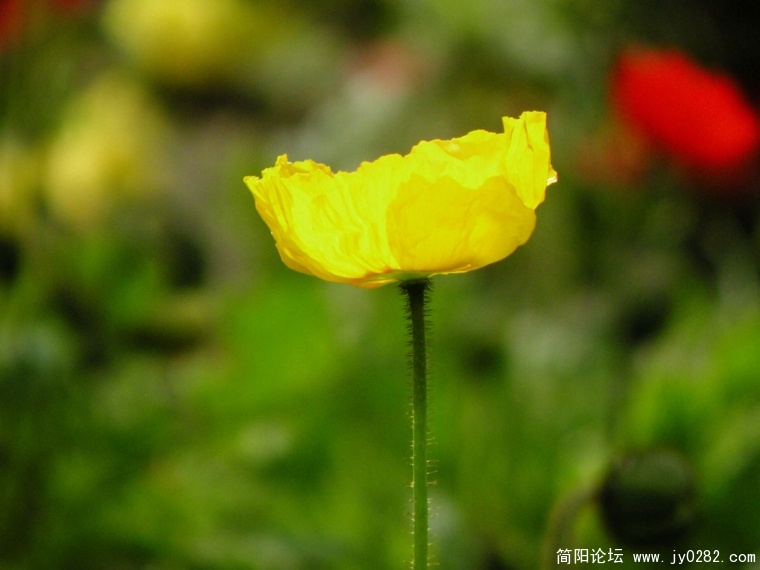 DSCN4369.jpg