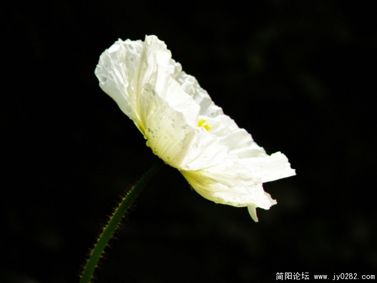 DSCN4362.jpg