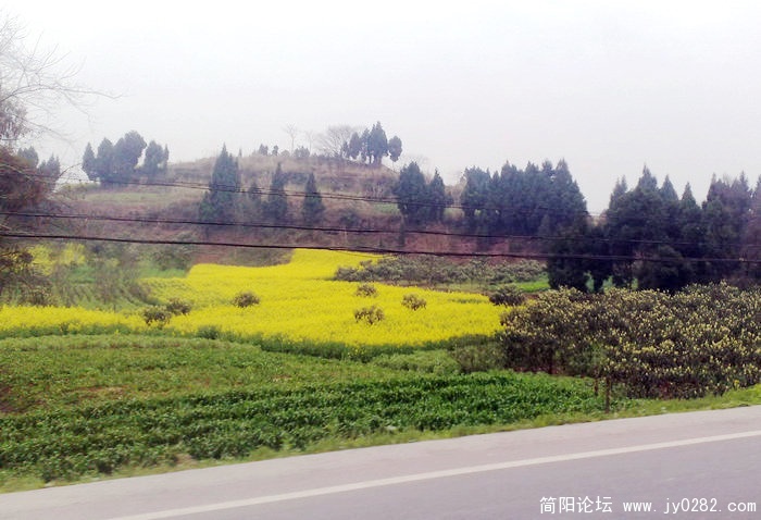 201103169038.jpg