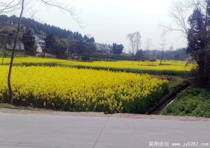 201103179078.jpg