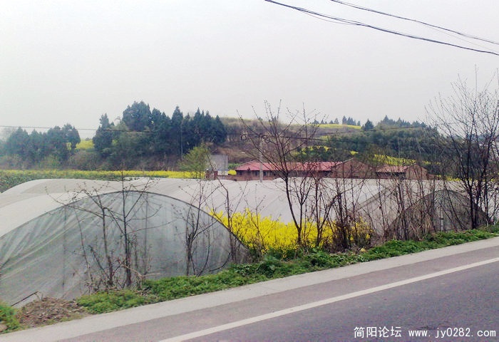 201103169039.jpg