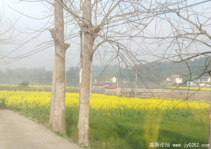 201103179071.jpg